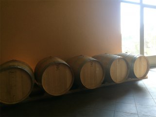 紅酒廠家直銷的利潤怎樣