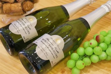 開個紅酒加盟店需投入多少錢